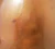 Thumbnail 55